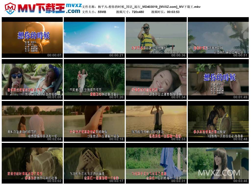 杨平凡-想你的时候_国语_流行_MD403019